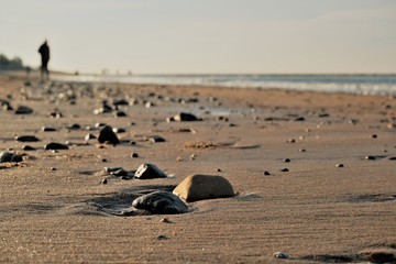 Fototapeta premium Close up of sea beach with stones and sand.