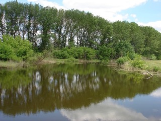 Beautiful marshland river summer day.