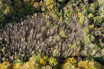 Vue Aérienne de la Campagne de l 'Oise