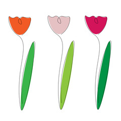 Flowers on white background. Vector illustration