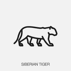 siberian tiger icon vector sign symbol