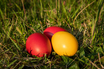 Three easter eggs lying in the meadow