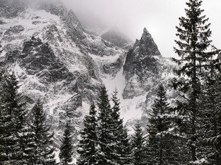 Mnich zima  © Multimen