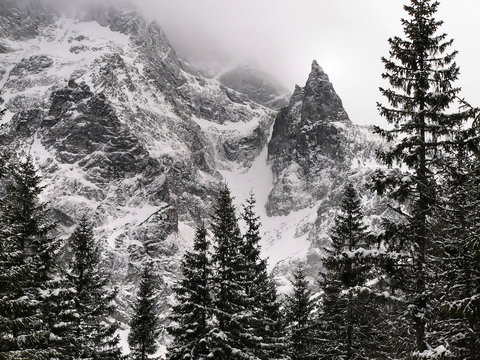 Mnich zima 