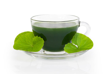 Gotu kola juice drink, Asiatic pennywort, Indian pennywort with green leaf isolated on white background, herb and medical concept