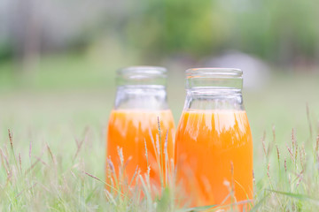 Closeup glass bottle of orange juice fruit on green grass nature background, food healthy concept