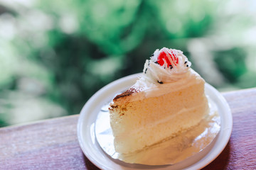 Closeup milk cake on wood table with green nature background, selective focus