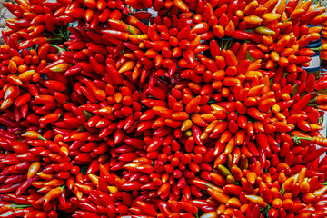 Raw food: red chili peppers