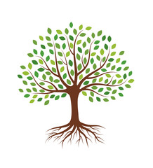 Tree with green leaves and roots. Isolated on white background. Flat style, vector illustration. 