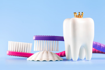 Fototapeta na wymiar Dental model and toothbrushs on blue background, concept image of dental background. Crown. Seashell. Dental hygiene. Banner with copyspace
