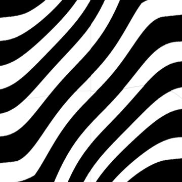 zebra wave motion graphic square shape video loop