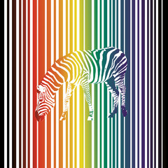 A graphic drawing of a rainbow colored zebra. The background is a straight version of the zebra stripes, so the zebra is camouflaged. Digital vector drawing.