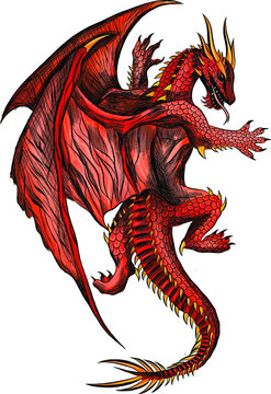 mythical fairy red dragon vector