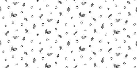 Hand drawn hazelnuts seamless pattern, black ink drawing sketch vector illustration on white background