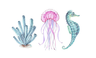 set of watercolor illustrations sea inhabitants, seahorse, jellyfish, coral  © Lana