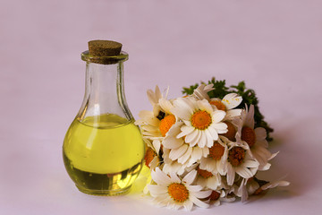 Daisies, chamomile flowers and chamomile oil in bottles on white background