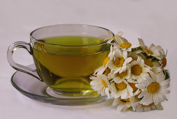 Chamomile flowers and chamomile tea in cup