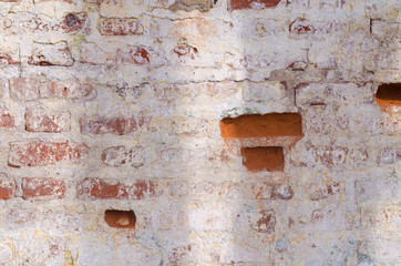 Grunge old brick wall in different colors