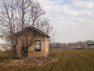 Plakat peasant house partially hidden by a tree in a cultivated field on the edge of a city