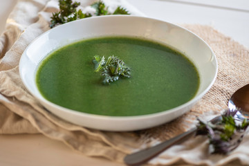 close up green fresh spring nettle soup in a white porcelain plate  - 338807915
