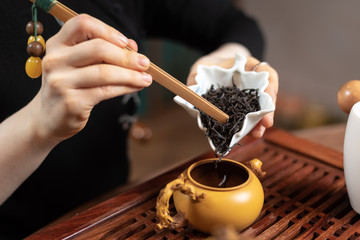 Tea ceremony. Girl pours tea leaf into a teapot.