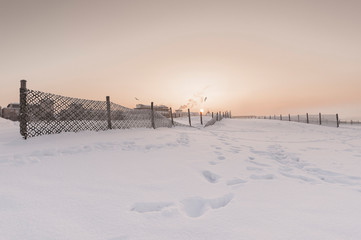 Ostseestrand in Warnem&uuml;nde.
