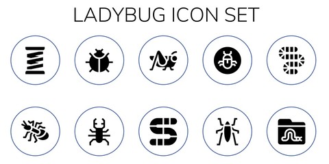 ladybug icon set