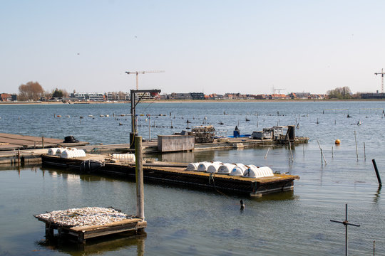Oyster aquaculture 'de oesterput' in the old scouring basin 'de Spuikom' in Ostend, Belgium