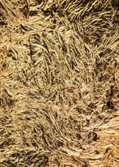 Metallic golden sheet background