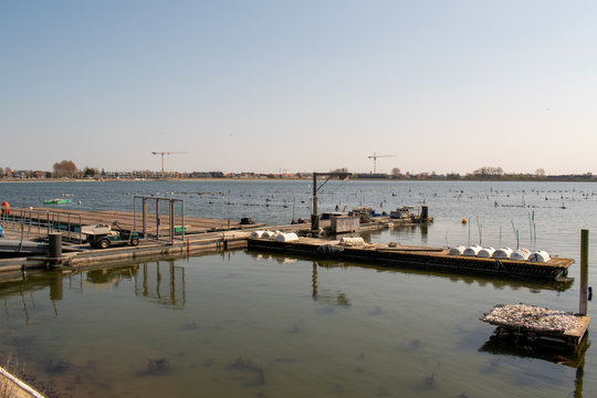 Oyster aquaculture 'de oesterput' in the old scouring basin 'de Spuikom' in Ostend, Belgium