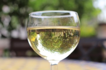 Verre de vin blanc vu en transparence