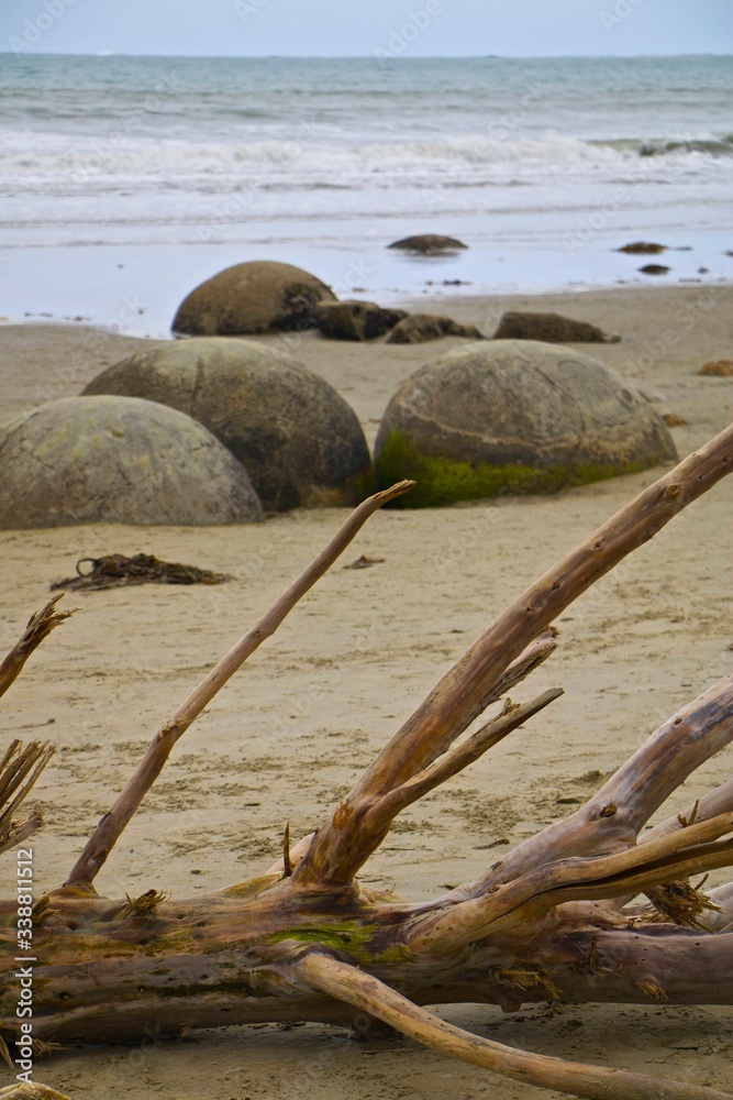 Wall mural rocks on the beach in new zealand