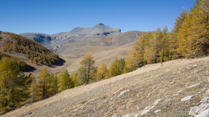 Fototapeta premium Longon, mont mounier (French alps)