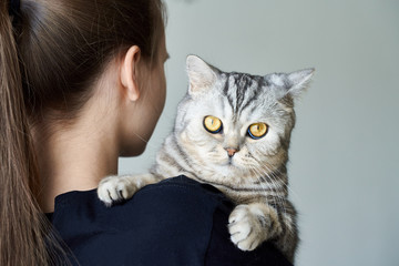 Cute tabby cat in arms of unrecognizable woman, friendship between humans and Pets