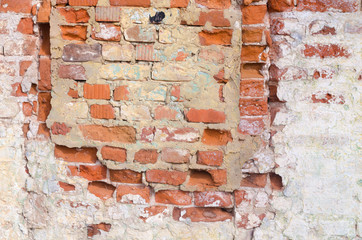 Texture and background of a red brick wall