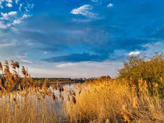 Fototapeta na wymiar spring landscapes with lake