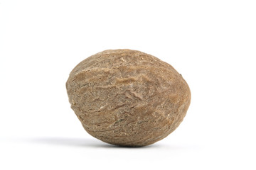 Fototapeta premium Closeup single nutmeg isolated on a white background