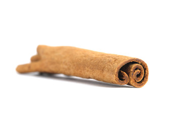 Closeup dried cinnamon stick isolated on a white background