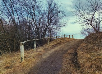 road to the field leading between trees with a makeshift handrail on the side of the road in a spring evening landscape