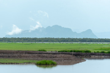 lake and fields with mountain in Thailand