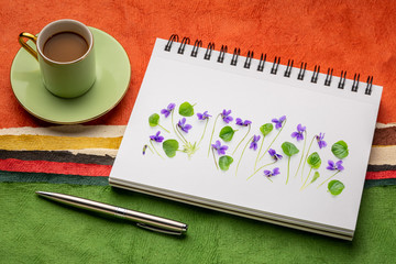 viola flowers on a sketchbook