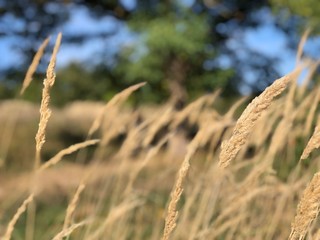 The art of Kali-medence,Hungary