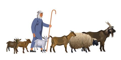 Shepherd with a herd of goats and sheep
