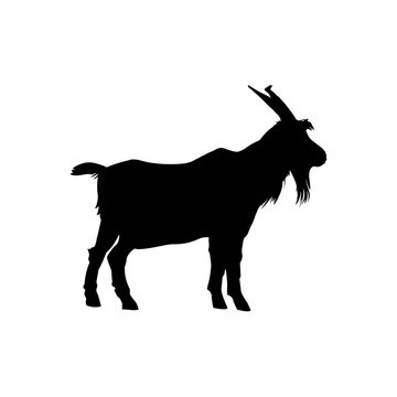 recommend clip art: Black silhouette of goat standing side view