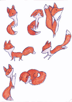 Playful Animal Illustration: Cartoon Fox and Goldfish in an Abstract Aquarium Setting, Symbolizing Cleverness and Quick-witted Nature