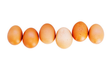 Organic chicken eggs in line with copy space, close up on white background. 