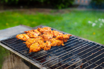 Marinated chicken skewers on the grill in the garden