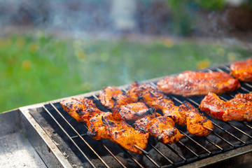 Marinated steaks and chicken skewers on the grill in the garden