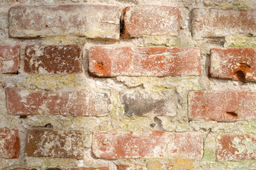 Red brick wall on a Sunny day