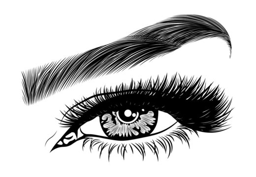 Illustration with woman's eye, eyelashes and eyebrow. Makeup Look. Tattoo design. Logo for brow bar or lash salon.